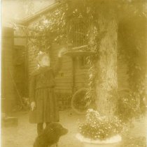 4b Crook - 2013 023 043 A-v